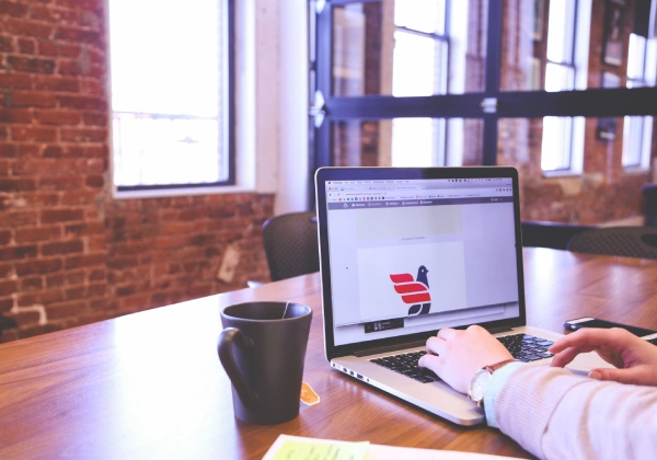 Mastering Web Development: From Beginner to Pro